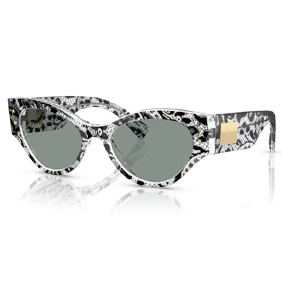 Dolce & Gabbana DG4480 Sunglasses